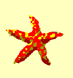 [starfish]